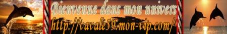 Cadeau de country-music.